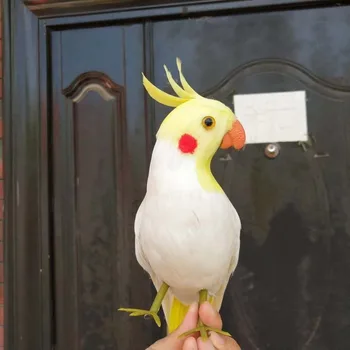 bonito simulação white parrot modelo de espuma e peles papagaio pássaro boneca de presente de cerca de 32 cm 3005